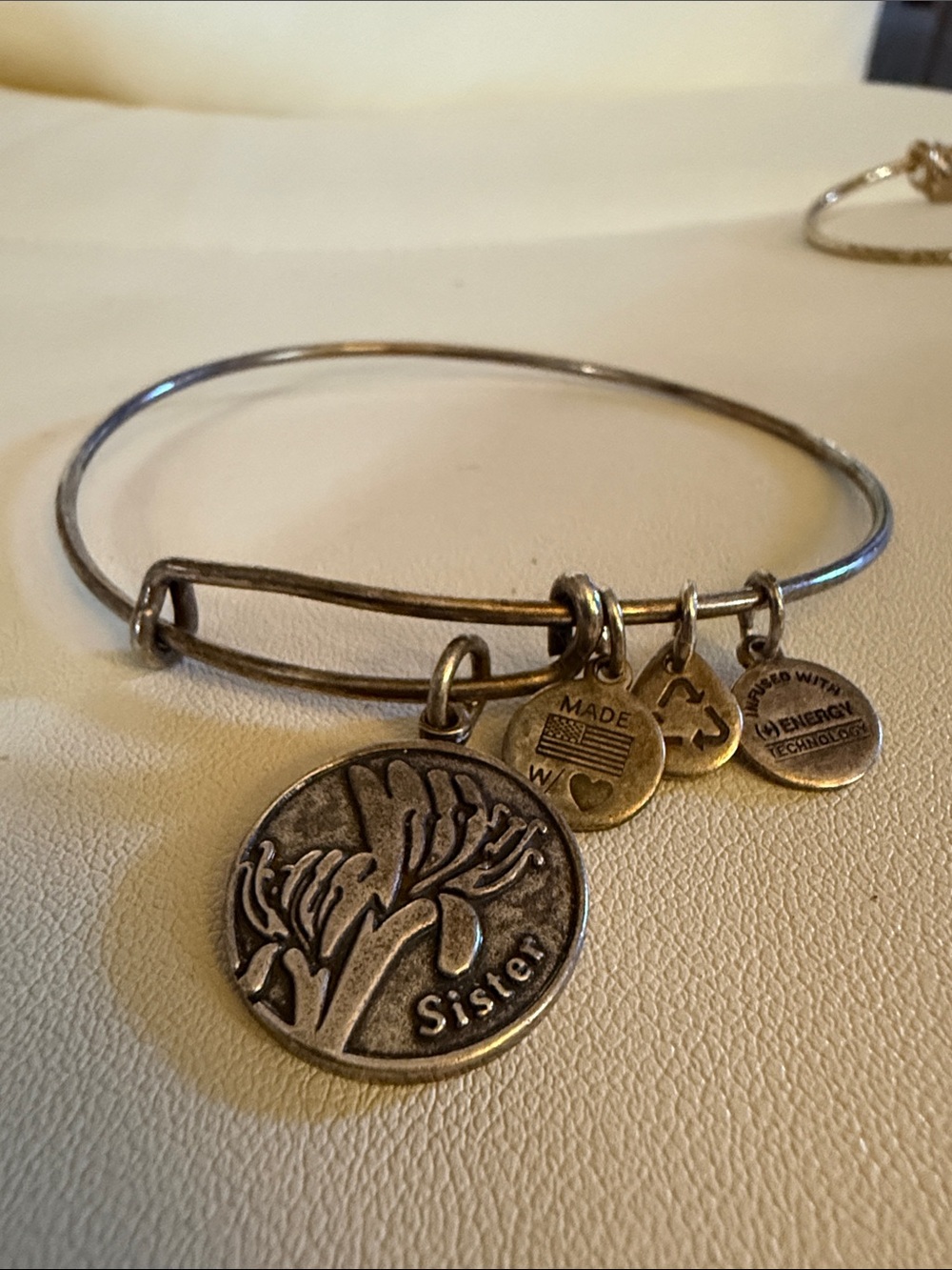 Alex and Ani Silver-Tone Charm Bangle - Sister